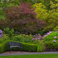 My Garden