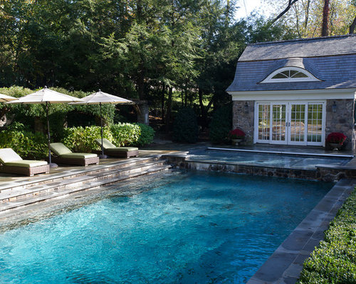 Pool Steps Home Design Ideas, Renovations &amp; Photos