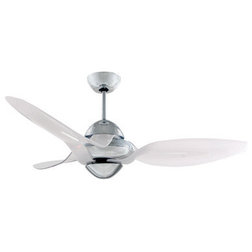Contemporary Ceiling Fans by PAN AIR ELECTRIC CO., LTD.