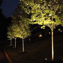 Front Landscape