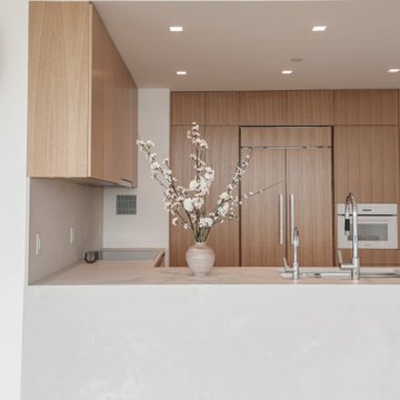 Battery Park Kitchen remodel