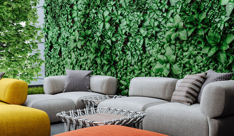 30 Best Sofa Designs