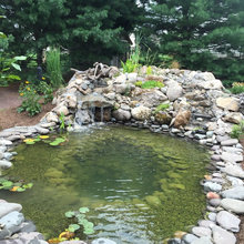 Pond