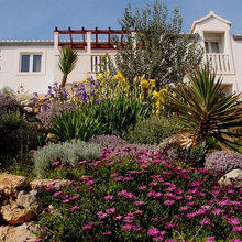 My Mediterranean garden