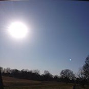 Tammy Wolff's photo