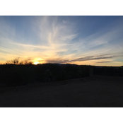 W M's photo