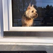 Kathleen McKeown's photo