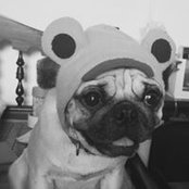 Foto de Lê Vũ
