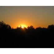 Paula Hache's photo
