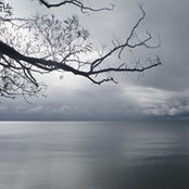 Foto von Diana Langman