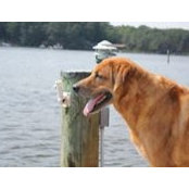 Kevin Passero's photo