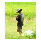 Phil Nguyen's photo