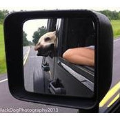Cindy Siddon's photo