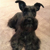Larry Venable's photo