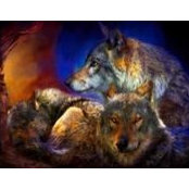 Heidi Nicholson's photo
