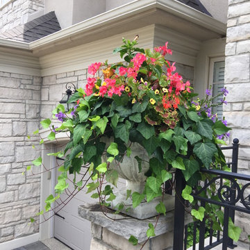 Summer Urn/Planter Arrangements