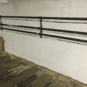 Mold Growing on Cement Walls