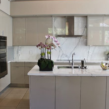 Fridge handles