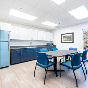 Healthcare-Friendly RTA Cabinets – Low VOC & Odor-Free Commercial Installation