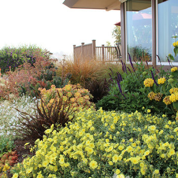 Dry Garden, Palos Verdes, CA