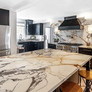 Calacatta Paonazzo Large Format Porcelain Kitchen Remodel