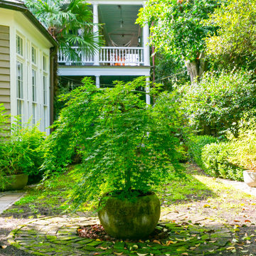 Downtown Renovation - Charleston