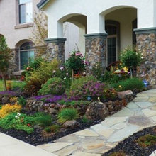 Front Yard Landscape