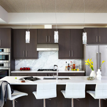 Kalorama Penthouse: Kitchen