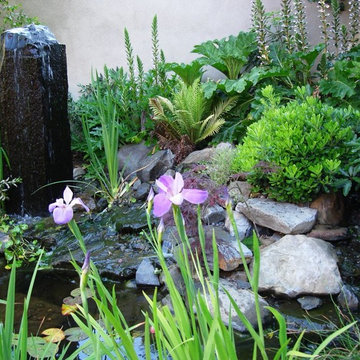 Remarkable Gardens