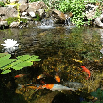 Ecosystem Ponds
