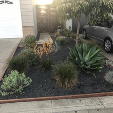 Front landscaping