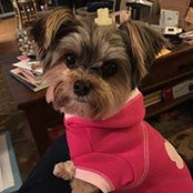 Trish Corcoran's photo