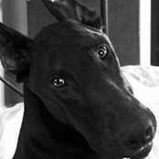 Wendy Bennett's photo