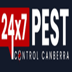 247 Termite Inspection Canberra