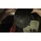 Nic Grant's photo