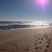 Foto von Colleen McCafferty