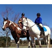 Heather O'keefe-Murphy's photo
