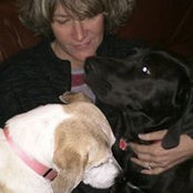 Sara Hurt's photo
