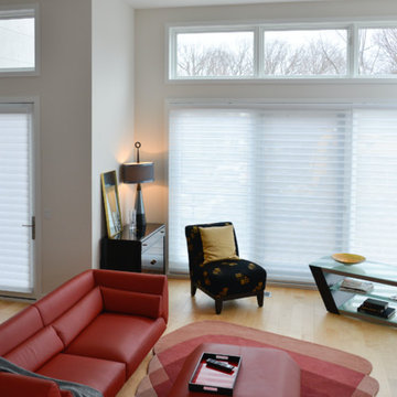Silhouette Window Shadings
