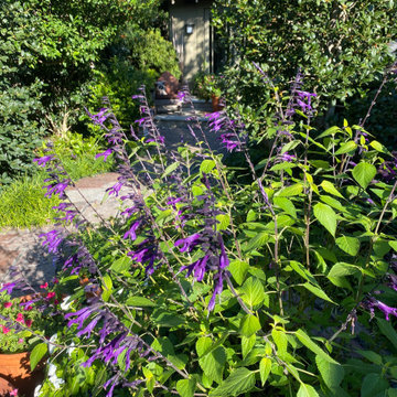 A Gardeners Journal