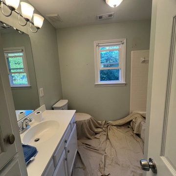 Matthews Bathroom Update