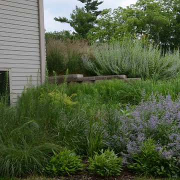 Native and Deer Resistant Landscape