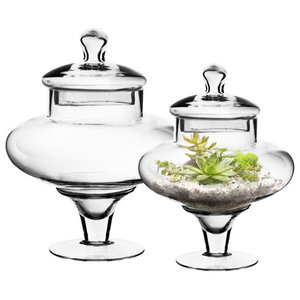 Classic Glass Apothecary Jar Contemporary Decorative Jars And Urns By Abigails Inc Houzz