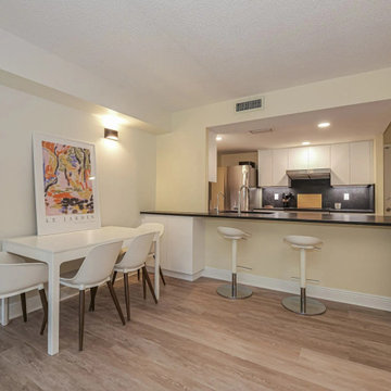 Condo Kitchen Renovation
