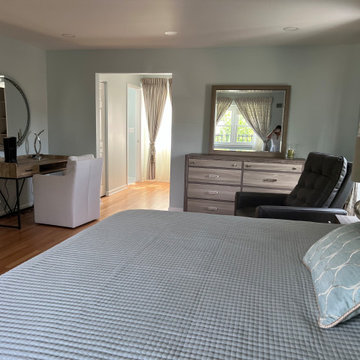 Schaumburg Whole House Remodel
