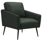 Abbyson - Daxton 100% Top Grain Leather Accent Chair, Green - Luxurious leather covers the Daxton Leather Accent Chair, evokinga contemporary, modern aesthetic. Beautiful top grain leather upholstery rests on a subtle, black, solid steel frame showcasing the leathers rich artisan finish, adding warmth and comfort to any living space.