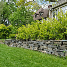 Landscape Ideas