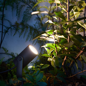 Outdoor - Lily XL