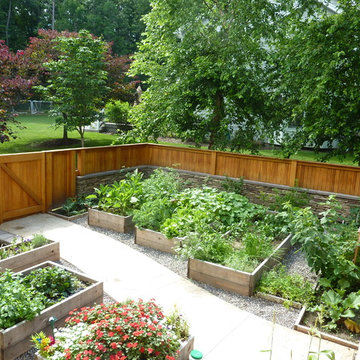 A garden in the vegetables