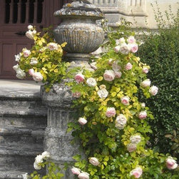 Limestone Planters - Outdoor Pots And Planters